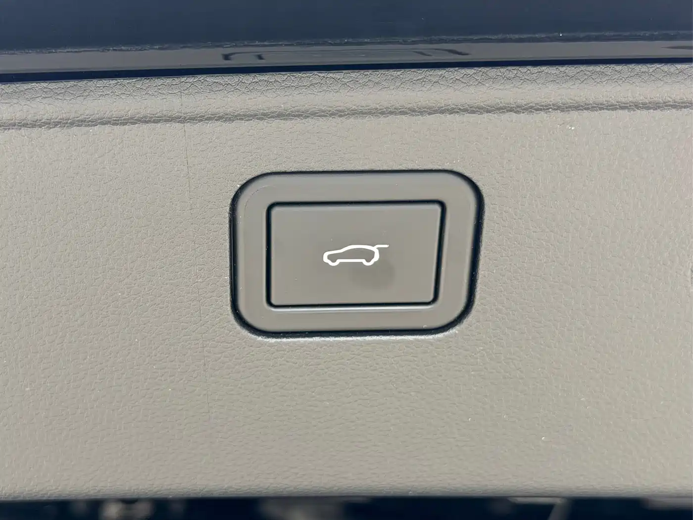 Haval Big Dog 2024 2.0T DCT Chinese Rural Dog Edition фото 21