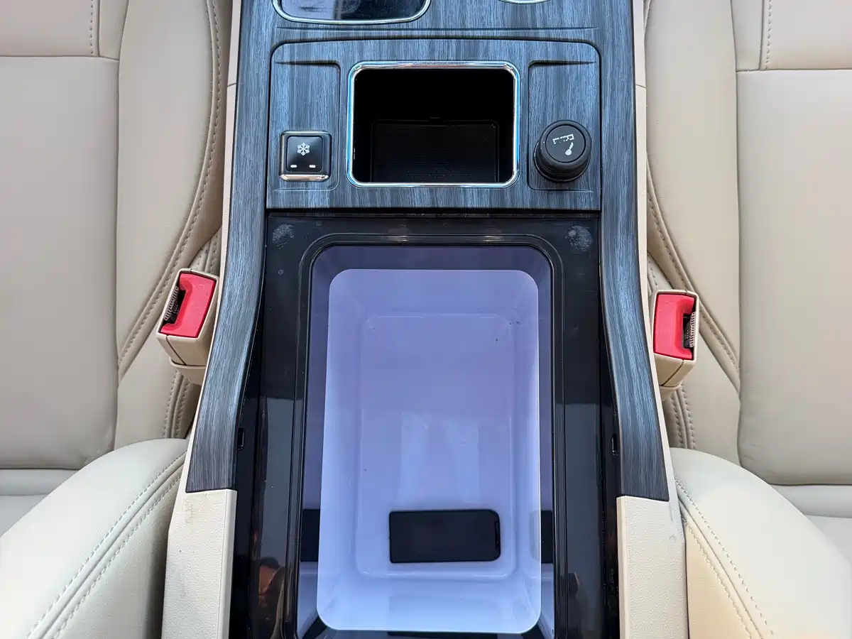 Buick GL8 2023 ES Landmaster Exclusive фото 22