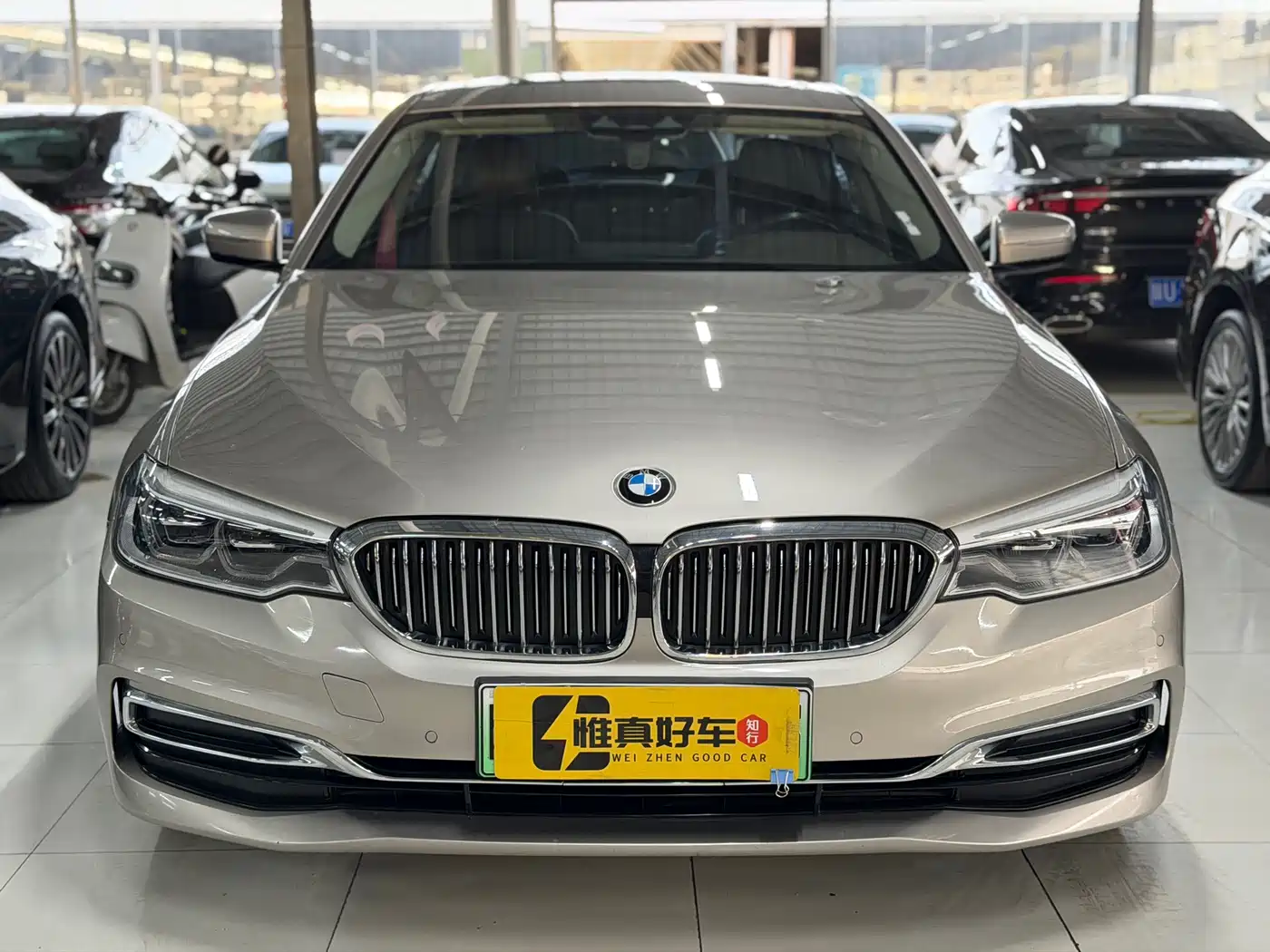 BMW 5 Series New Energy 2020 530Le Luxury Package фото 2