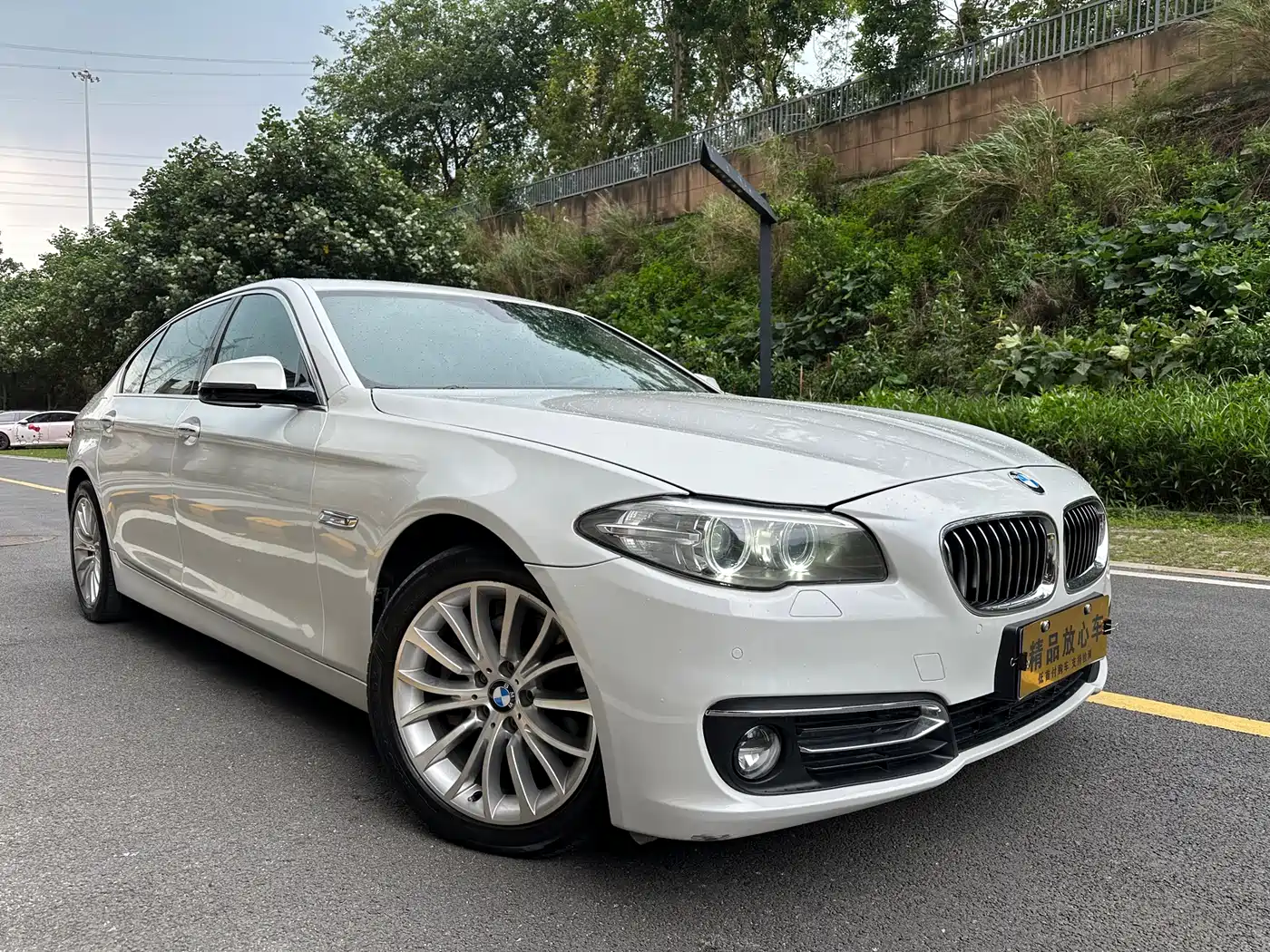 BMW 5 Series 2014 525Li Luxury Design Package фото 3