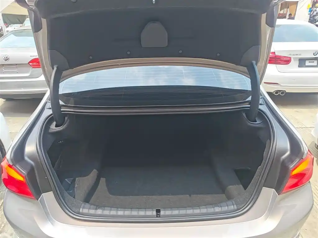 BMW 5 Series 2018 Facelift 530Li Leading Luxury Package фото 19