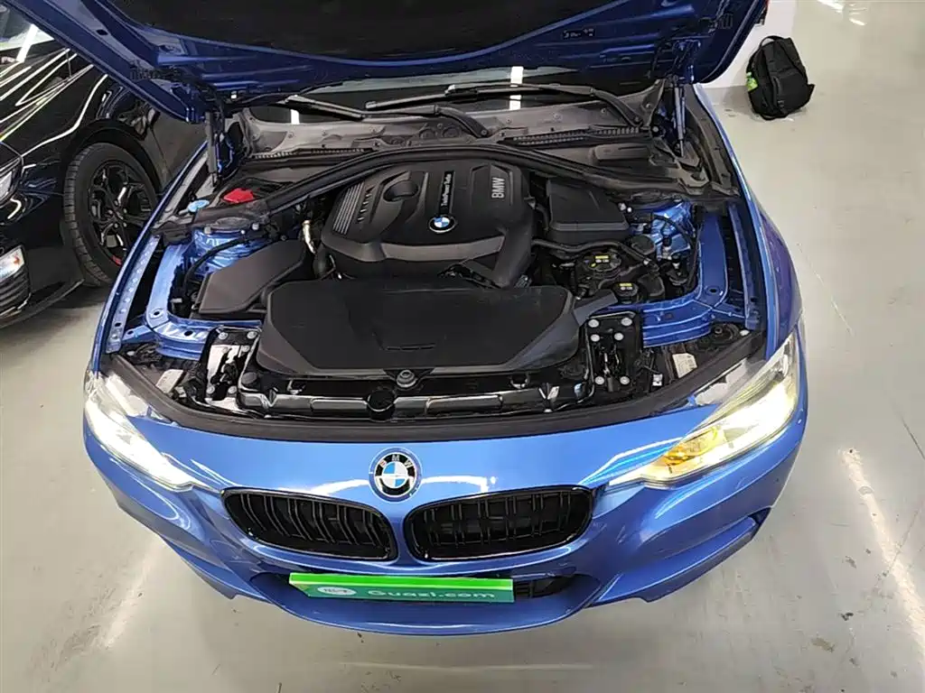 BMW 3 Series 2018 320Li Leading M Sport Package фото 20