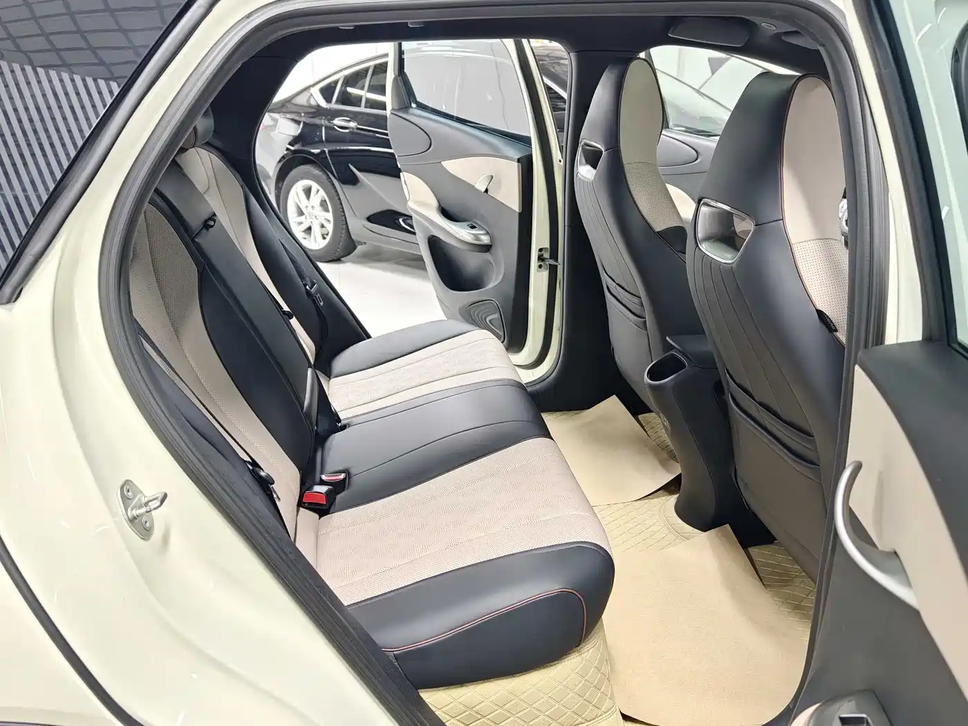 BYD Dolphin 2023 420km Fashion Edition фото 10