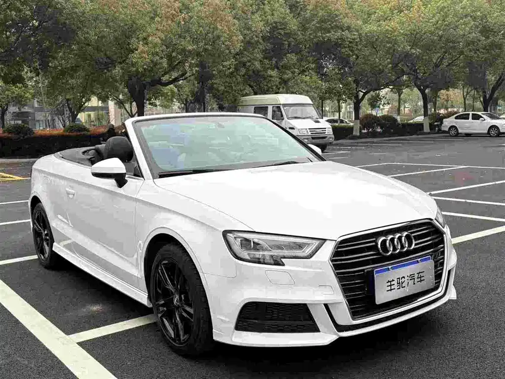 Audi A3 (Import) 2017 Cabriolet 40 TFSI фото 3