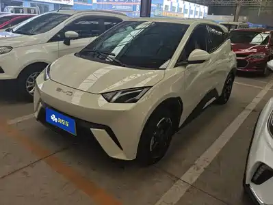 BYD Seagull