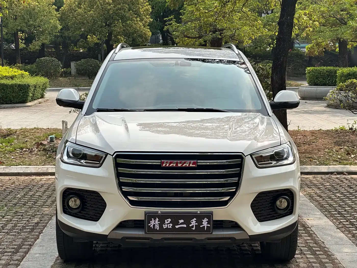 Haval H6 Coupe 2017 Red Label 2.0T Automatic 2WD Premium фото 3