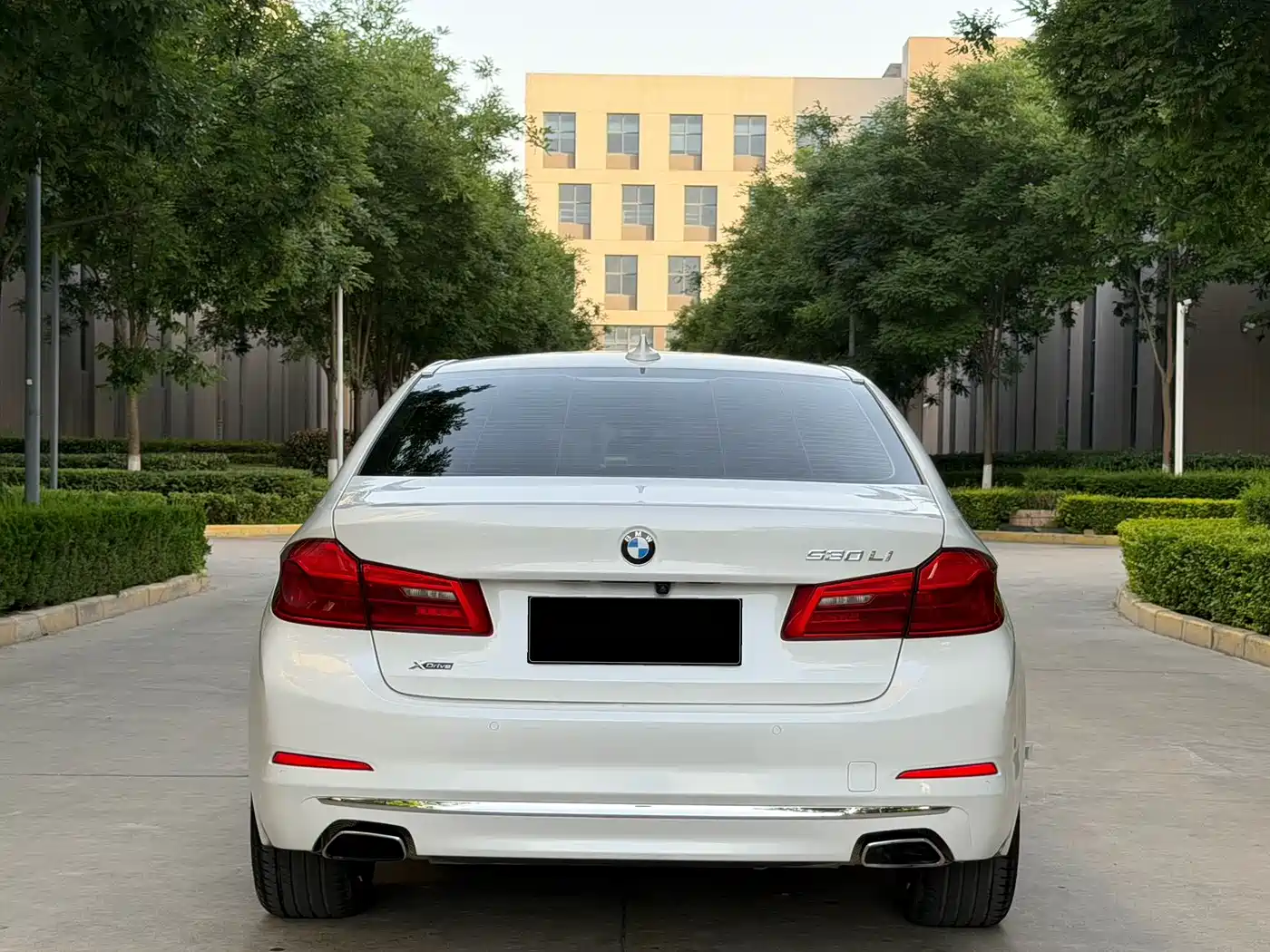 BMW 5 Series 2019 530Li xDrive Luxury Package фото 19