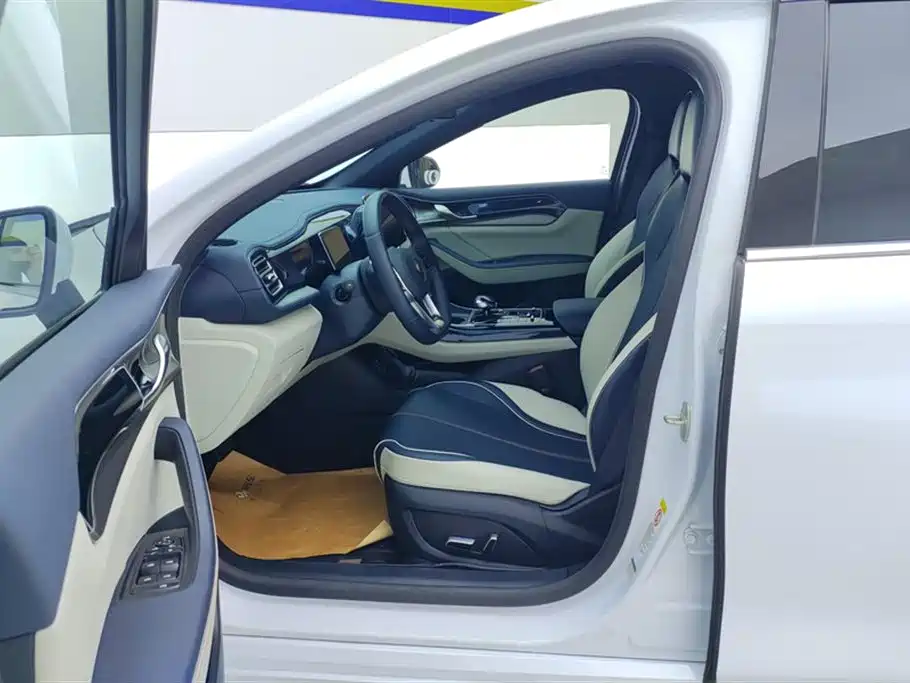 BYD Qin PLUS 2021 DM-i 55KM Flagship фото 9