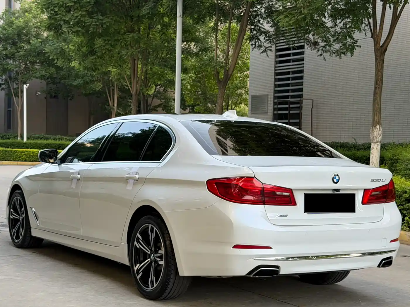 BMW 5 Series 2019 530Li xDrive Luxury Package фото 20