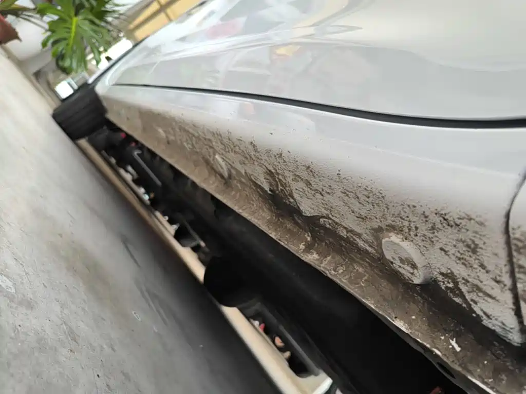 Wuling Motors Wuling Zhiguang NEV 2026 2025 Model 305km Base Version
