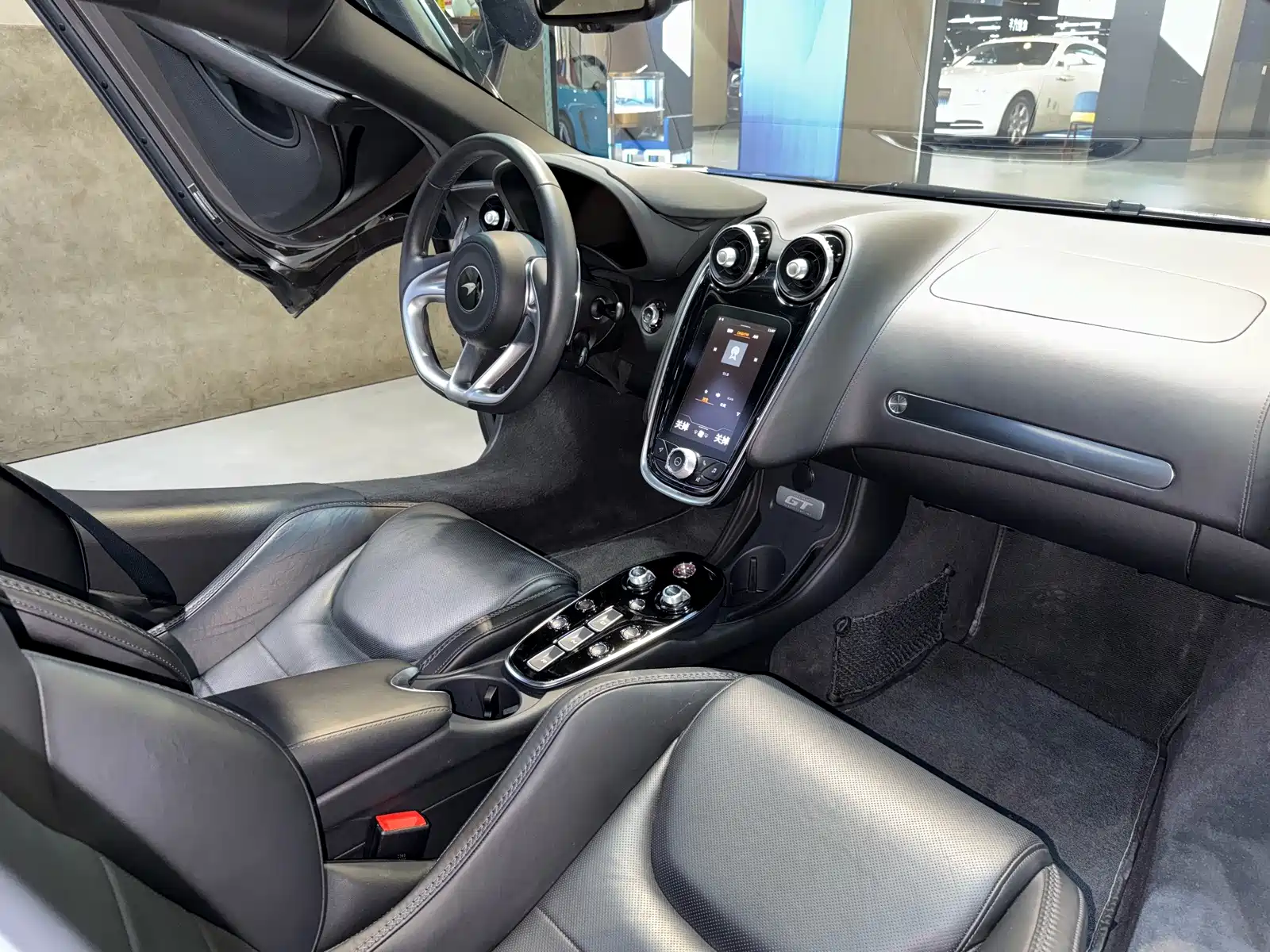 صورة 19 - McLaren GT