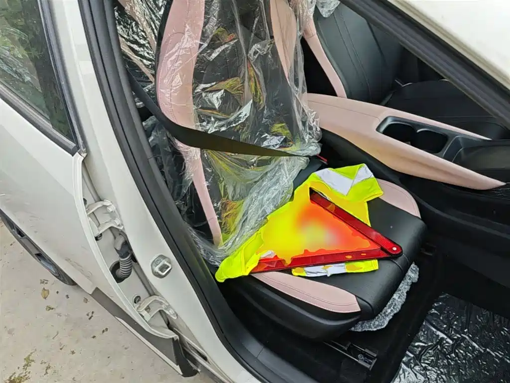 BYD Seagull 2025 Smart Drive Edition 305km Vitality Version фото 25
