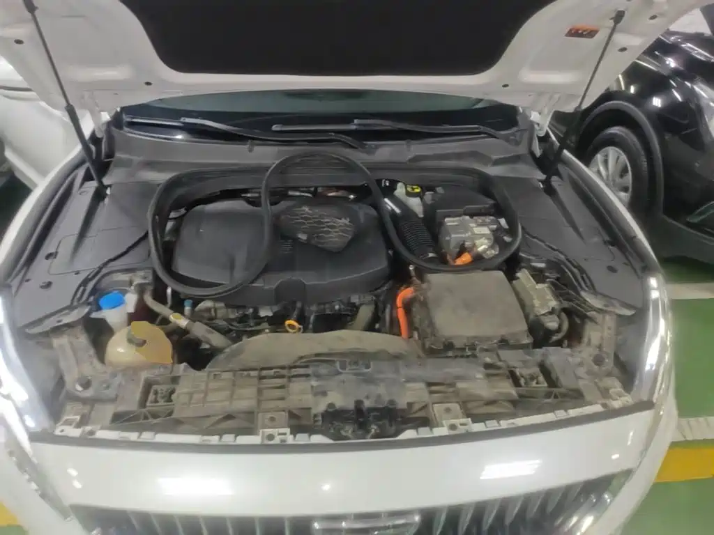 Geely Borui PHEV 2021 2021 1.5T ePro Leading Edition