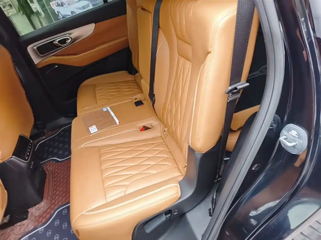 GAC Trumpchi Trumpchi GS8 2022 Pilot Series 2.0TGDI 2WD Luxury Smart Connect Edition (7-Seater) фото 17