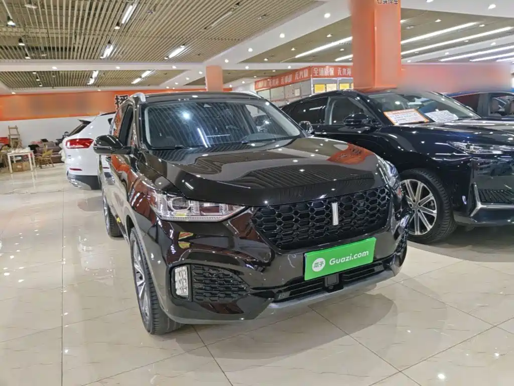 WEY VV6 2019 2019 2.0T 2WD Ultra Luxury China VI