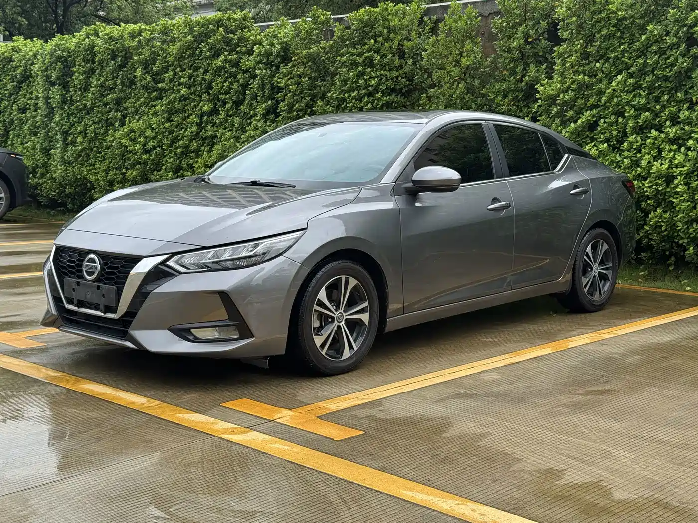 Фото 1 - Nissan Sylphy