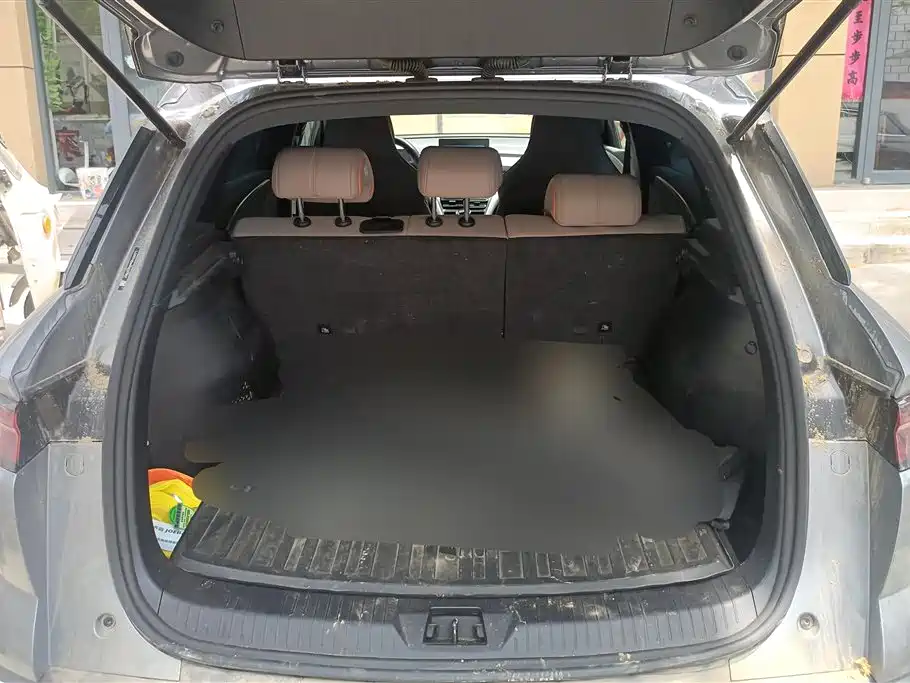 BYD Song Pro New Energy 2024 Glory Edition DM-i 71KM Pilot фото 4