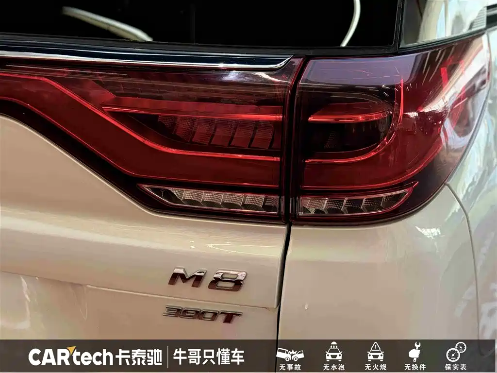 GAC Trumpchi Trumpchi M8 2023 Leading Series 390T Premium Edition фото 12
