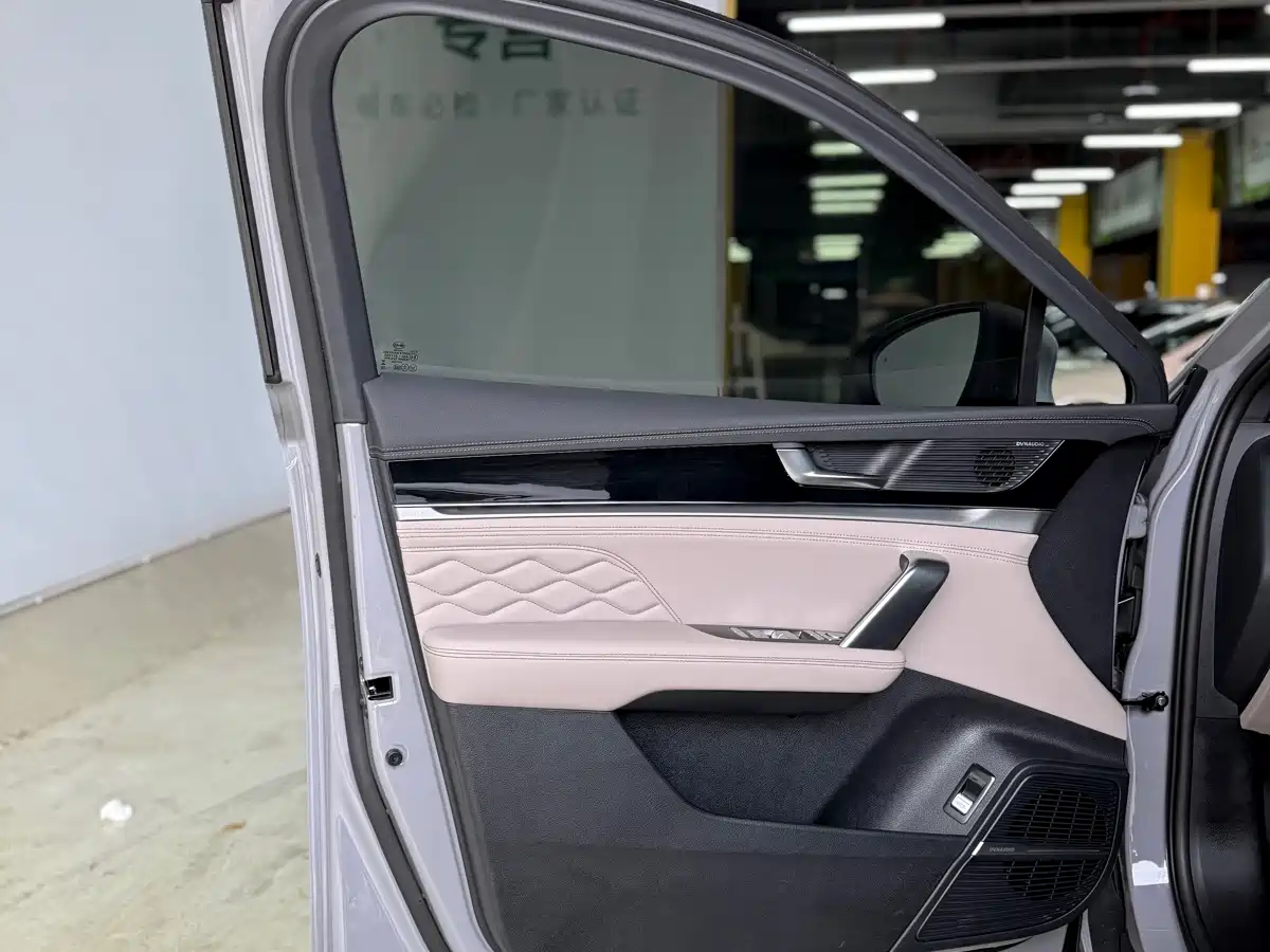 BYD Tang New Energy 2025 DM-i 115KM Premium фото 13