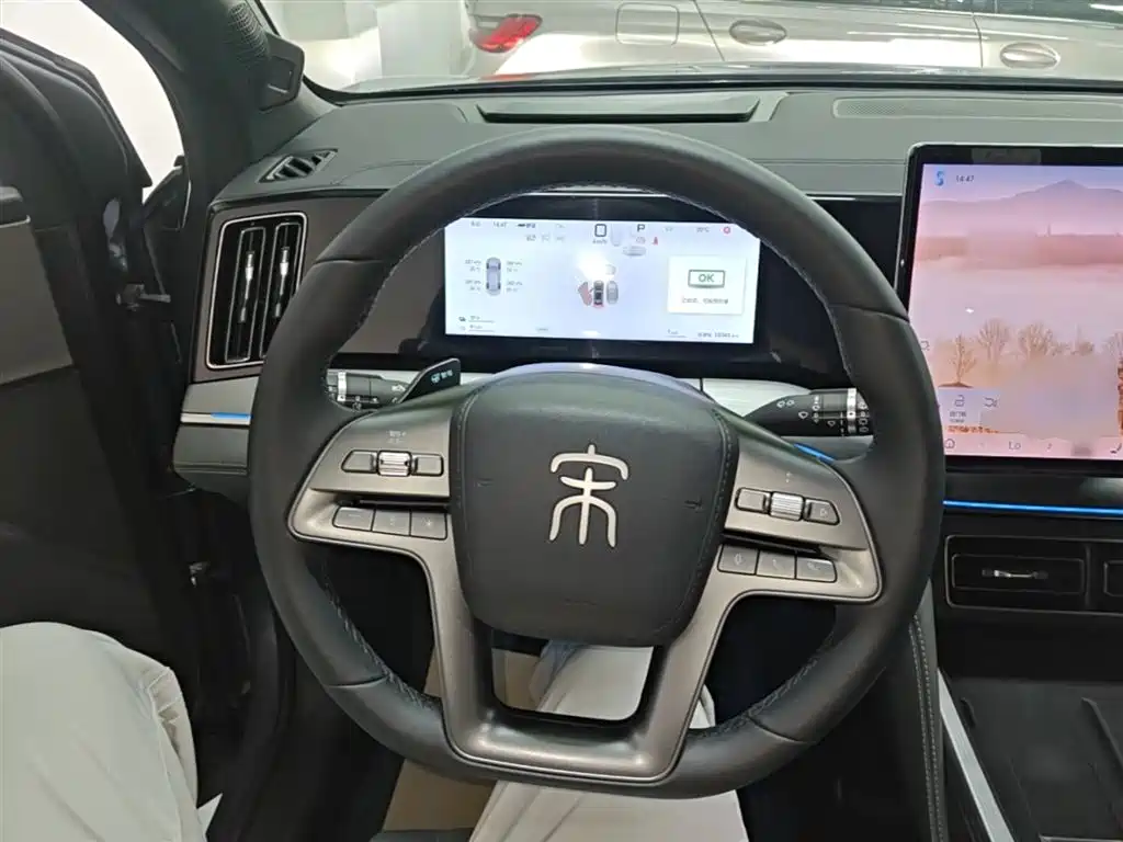 BYD Song L DM-i 2025 Smart Drive Edition 112km Surpassing фото 11