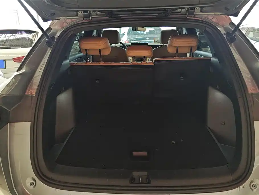 BYD Song L DM-i 2024 112km Leading Edition фото 4