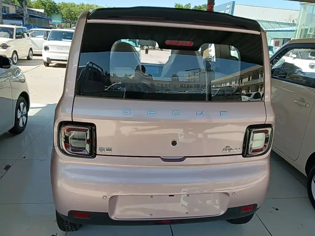 Geely Galaxy Panda 2026 2025 Panda mini 210km Vitality Bear