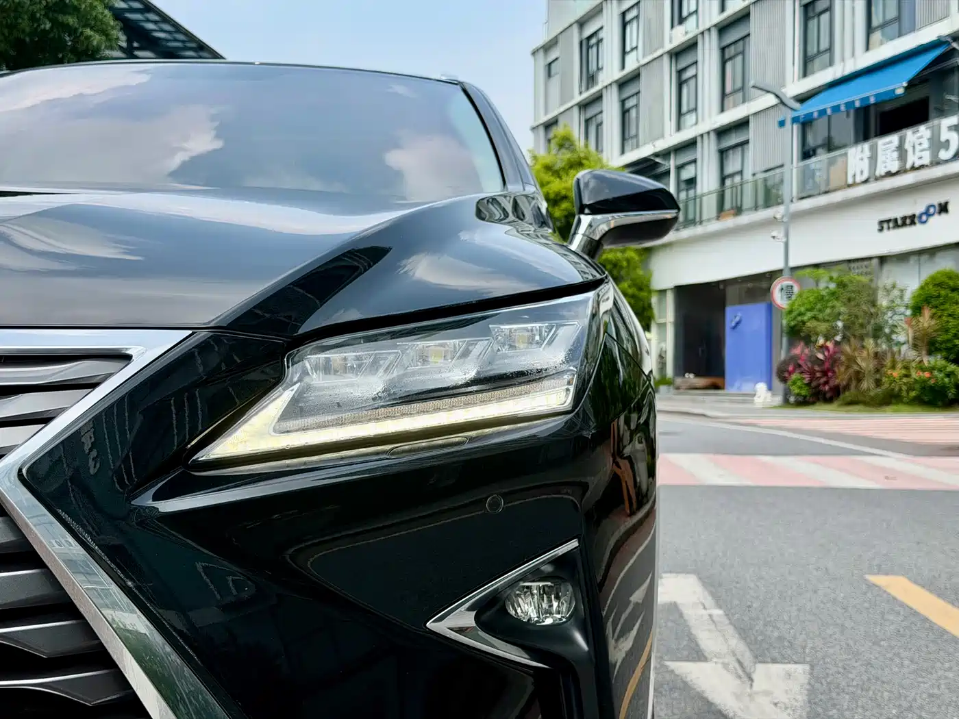LEXUS RX
