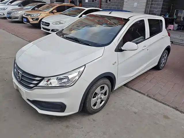 BAOJUN 310