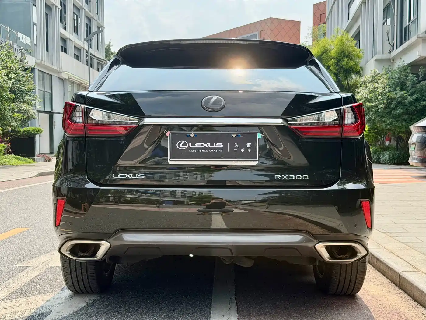 LEXUS RX