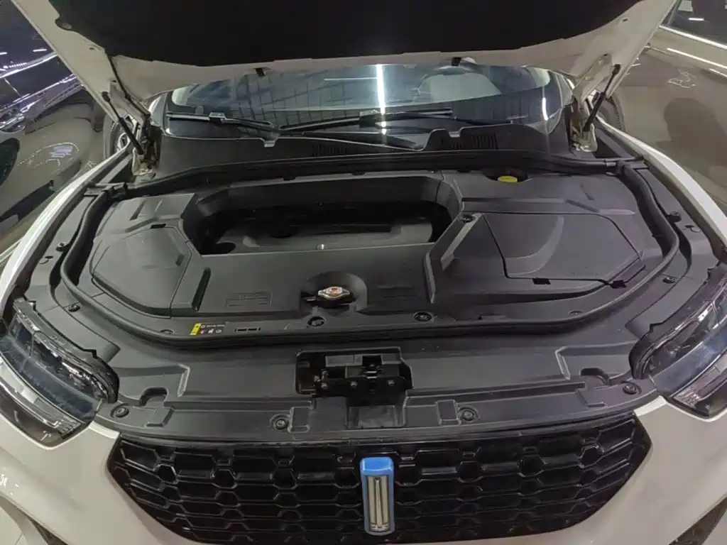 WEY VV5 2017 2017 2.0T Flagship Model