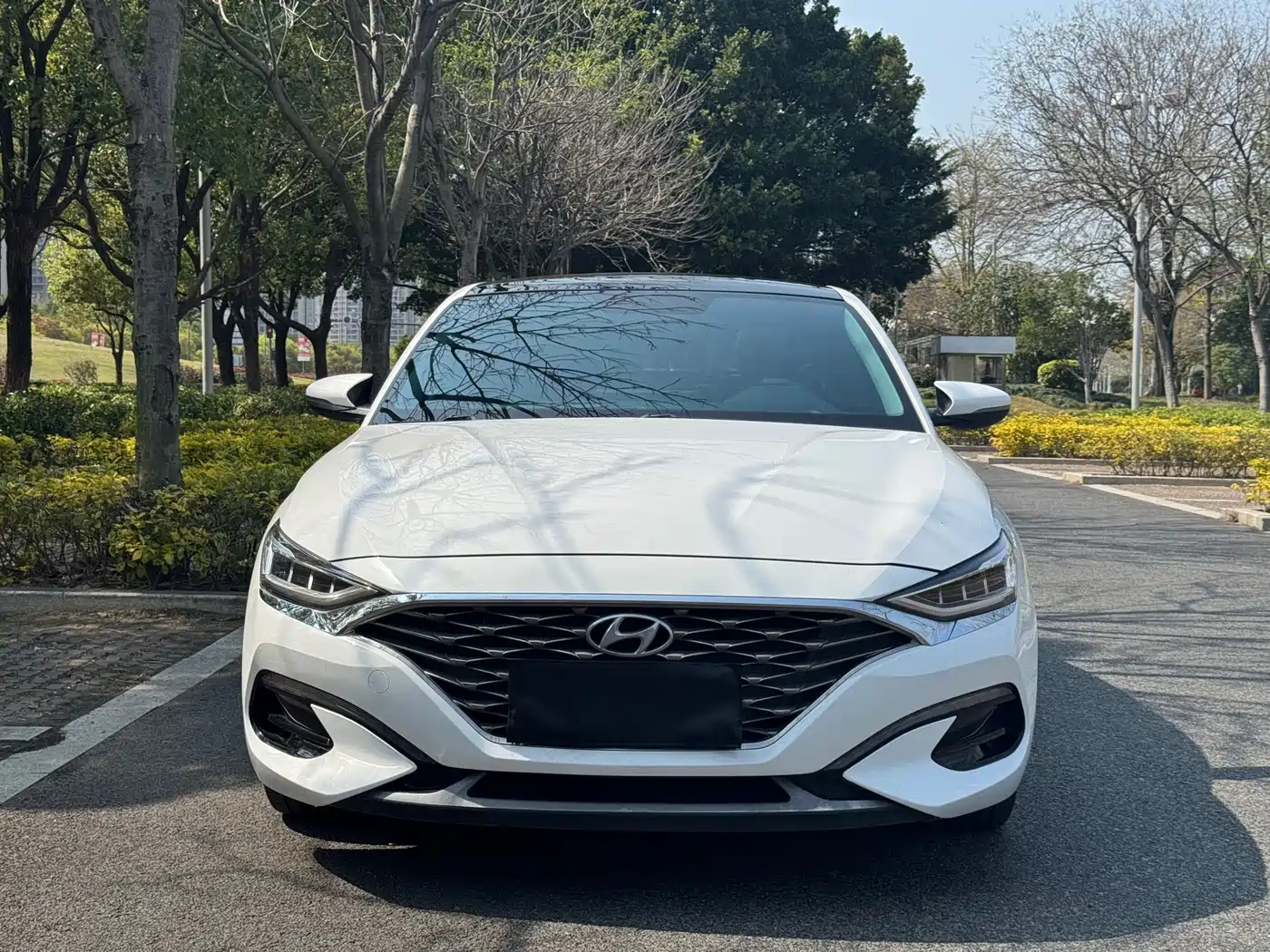 Hyundai Fista 2019 280TGDi Sport Edition China VI фото 2