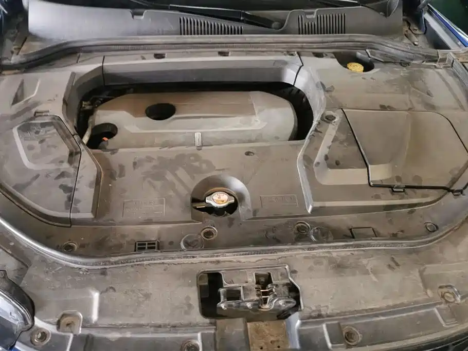 WEI PAI WEI BRAND VV5