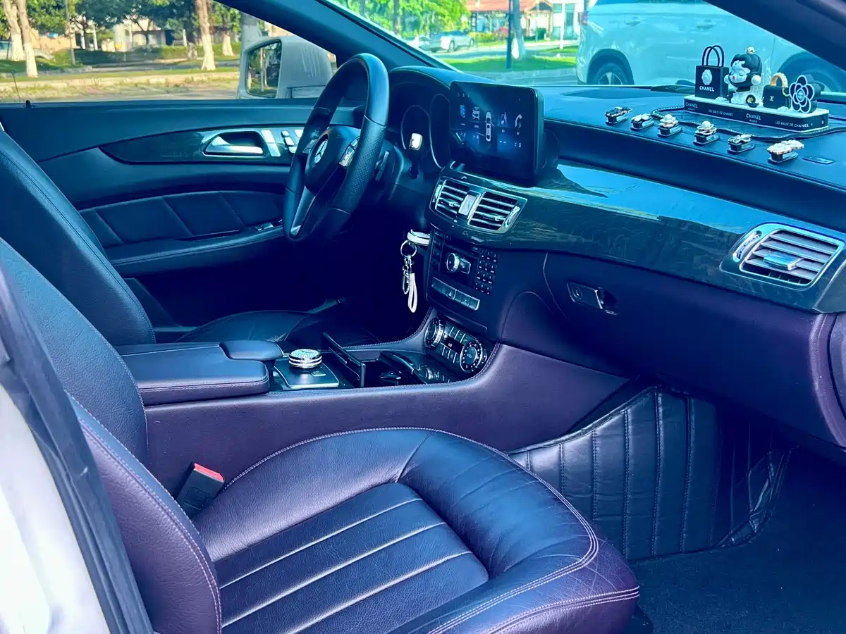 Mercedes-Benz CLS 2012 CLS 300 CGI фото 13