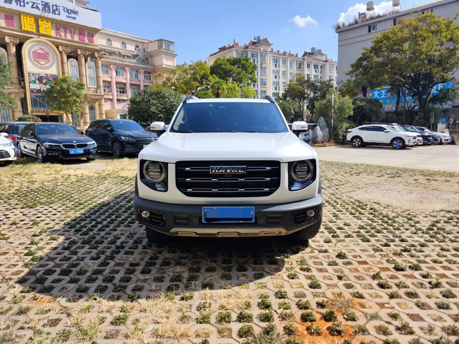 Фото 2 - Haval Dargo