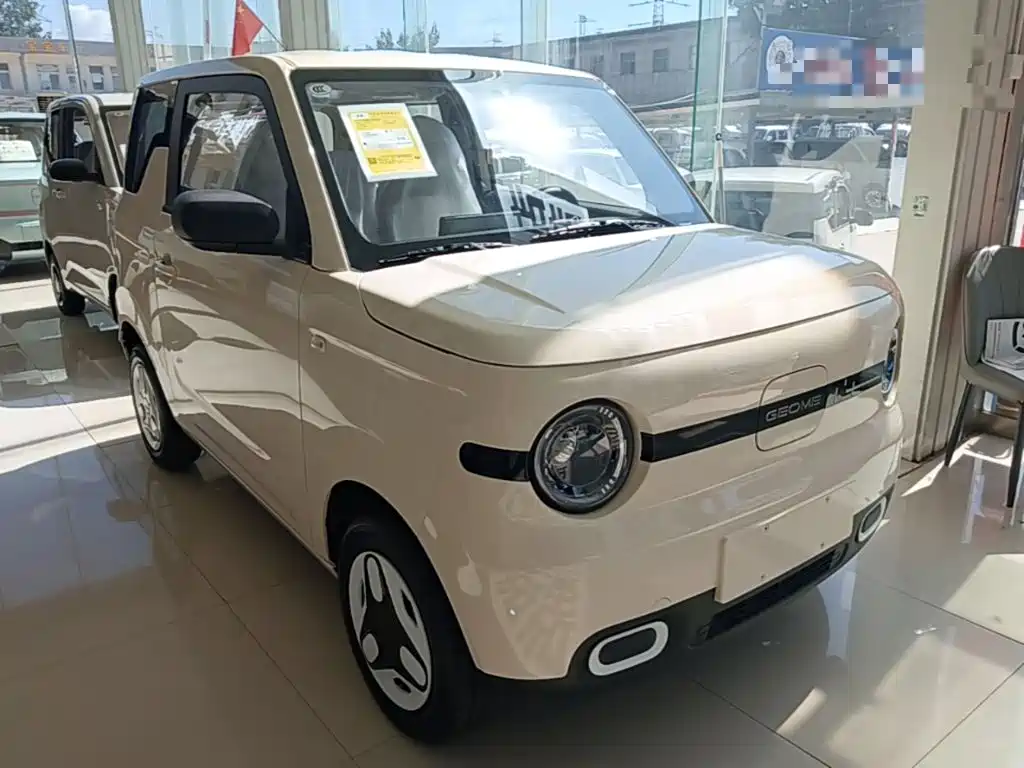 Geely Galaxy Panda 2026 2025 Panda mini 210km Vitality Bear