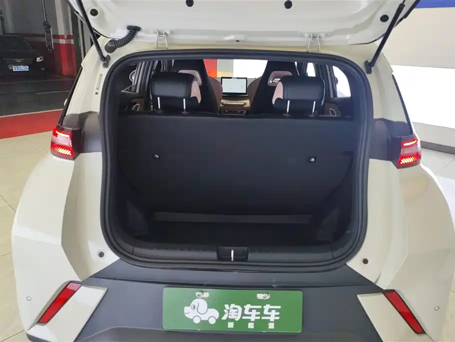 BYD Seagull 2025 305km Vitality фото 4