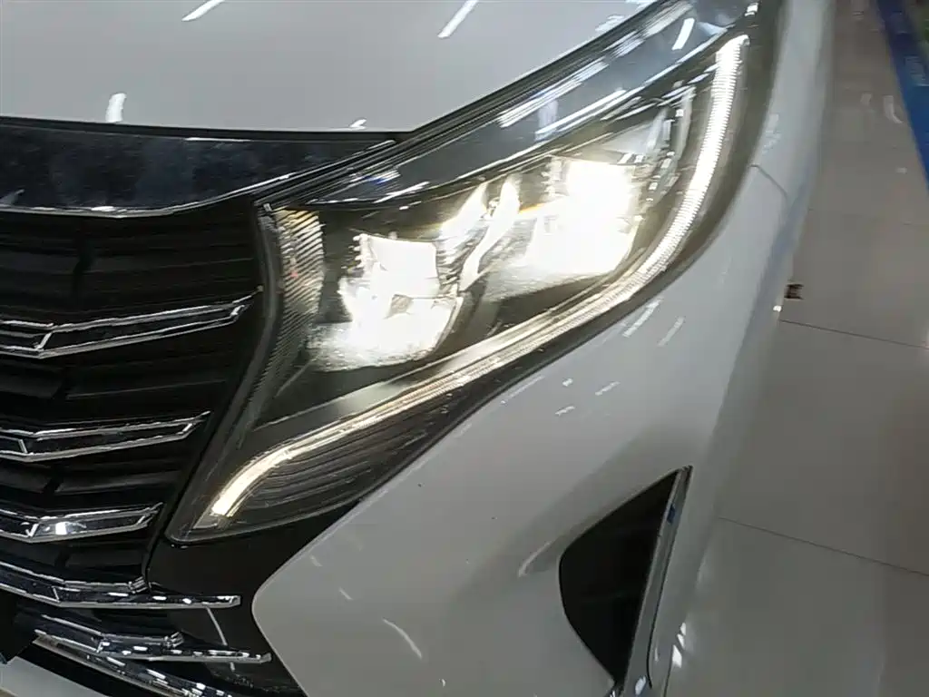 GAC Trumpchi Trumpchi M8 2021 Leading Show Series 390T Luxury Edition фото 24