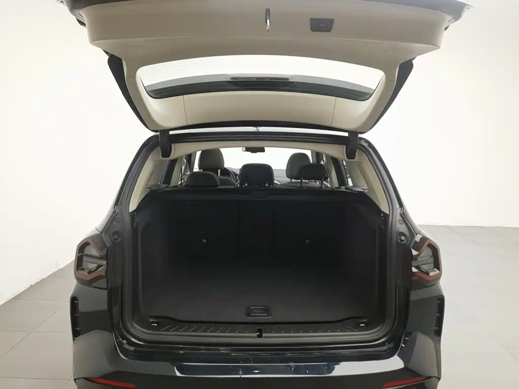 BMW iX3 2024 2023 Leading Type