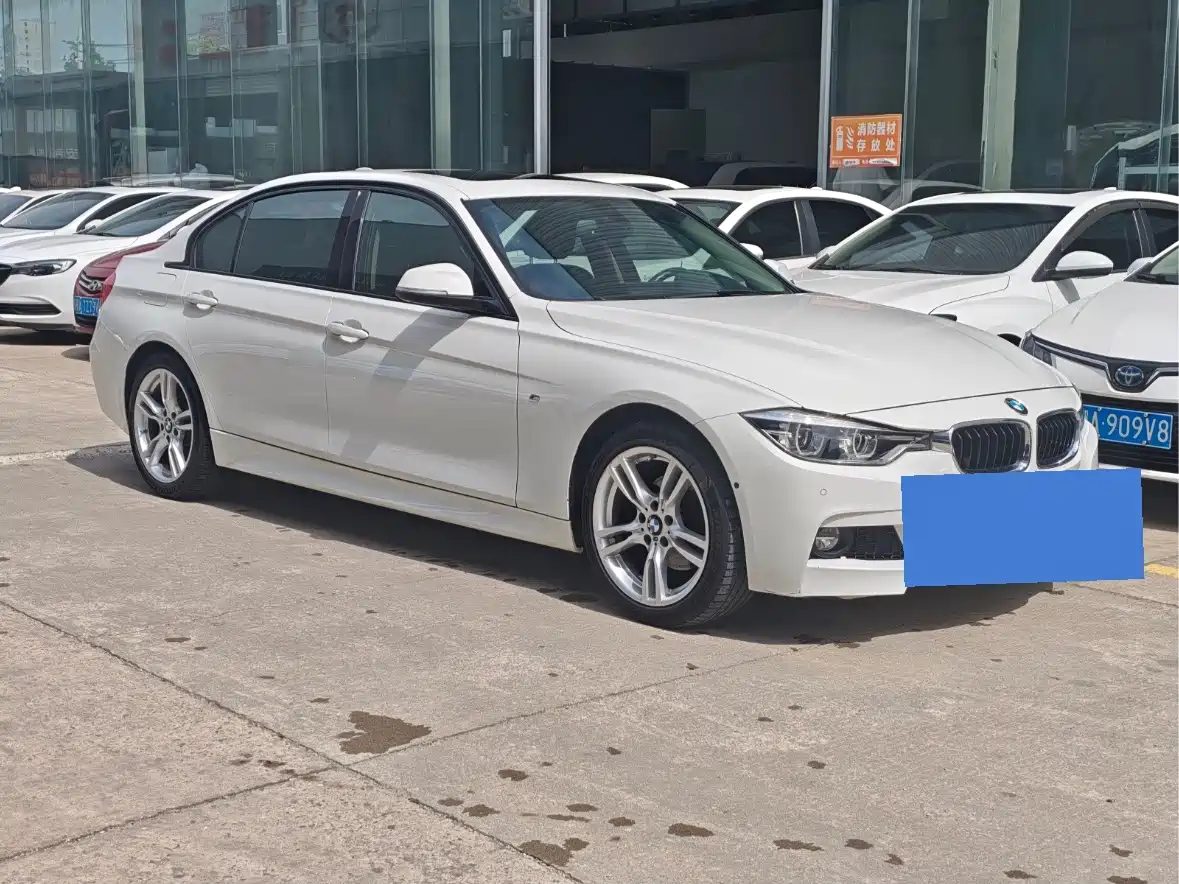 BMW 3 Series 2019 320Li M Sport Package фото 3
