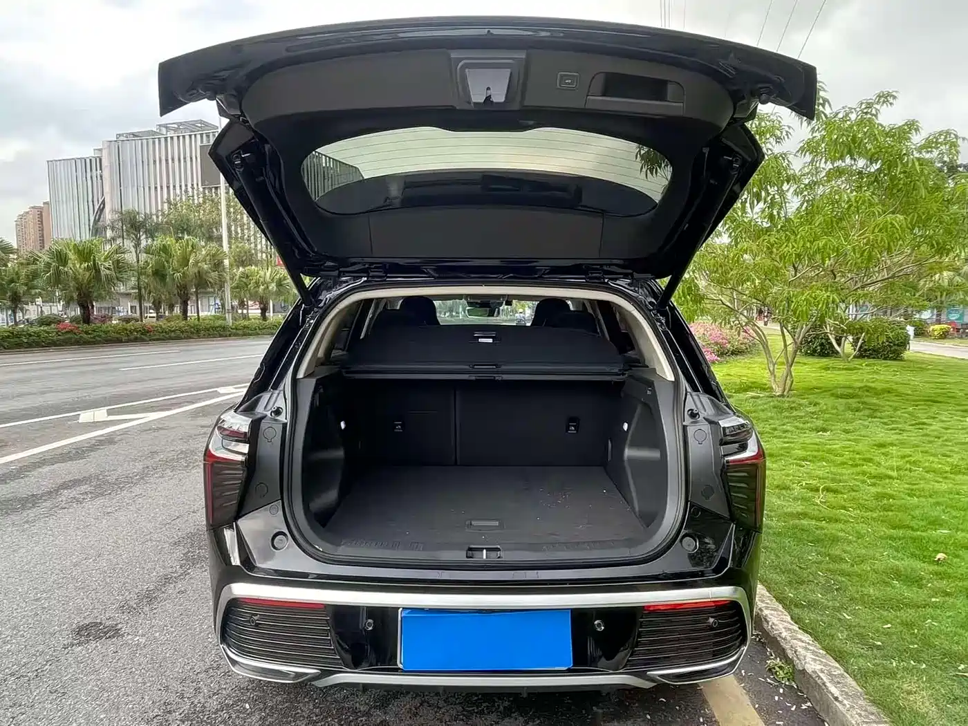 Hongqi HS3 2024 2.0T Capable Edition фото 8