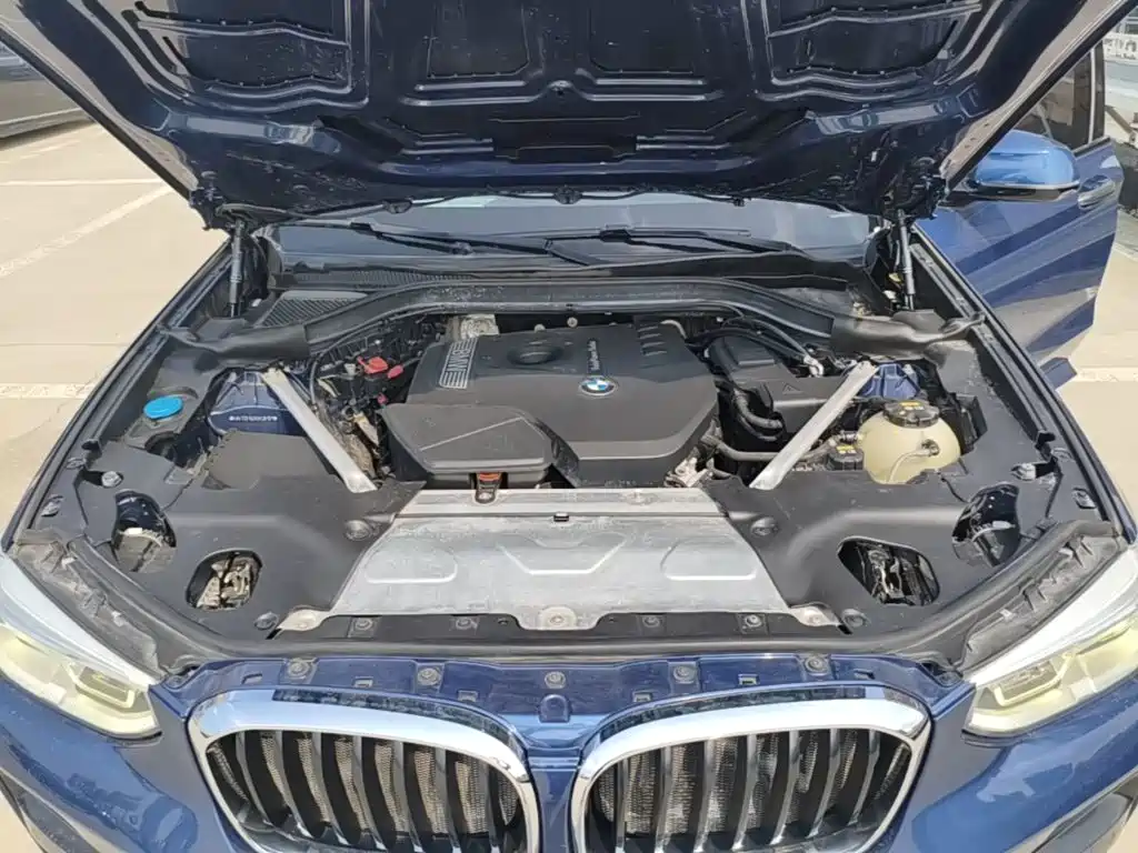 BMW X3 2018 2018 xDrive30i Leading M Sport Package China V