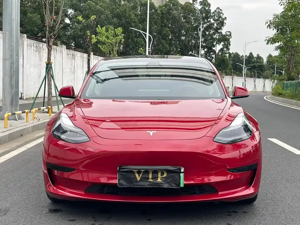 Tesla Model 3 2021