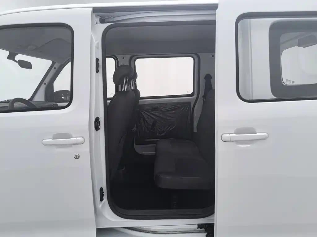 Wuling Motors Wuling Zhiguang NEV 2025 2025 Standard Version