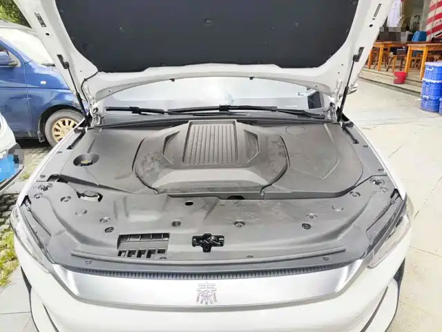 BYD Qin PLUS 2021 EV 500KM Luxury Model — фото 3
