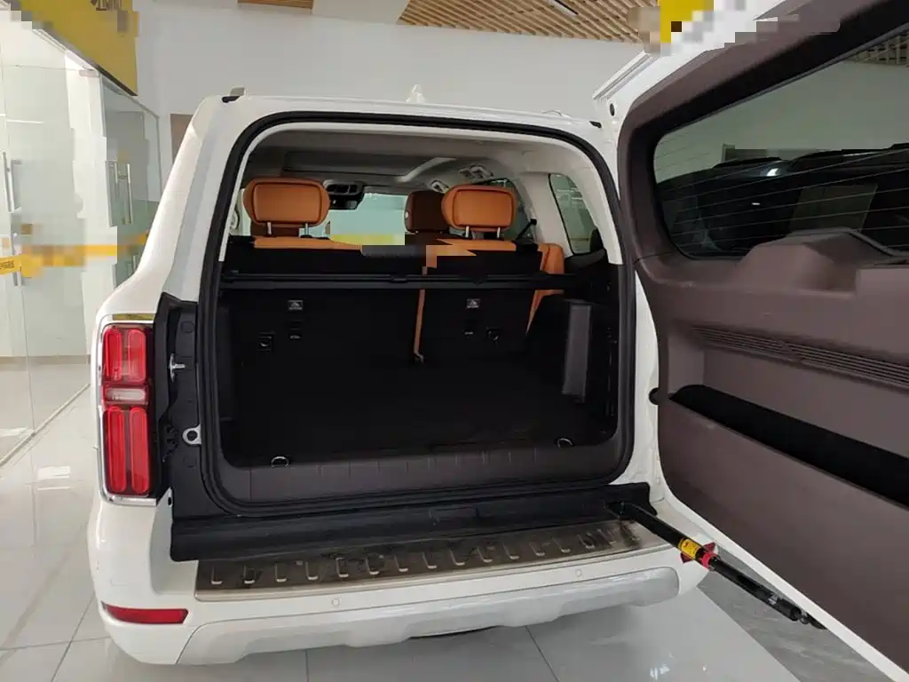 Tank 500 2022 2022 3.0T Business Edition Zaojing 5-Seater