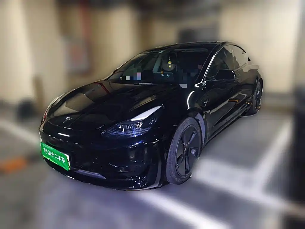 Tesla Model 3 2021