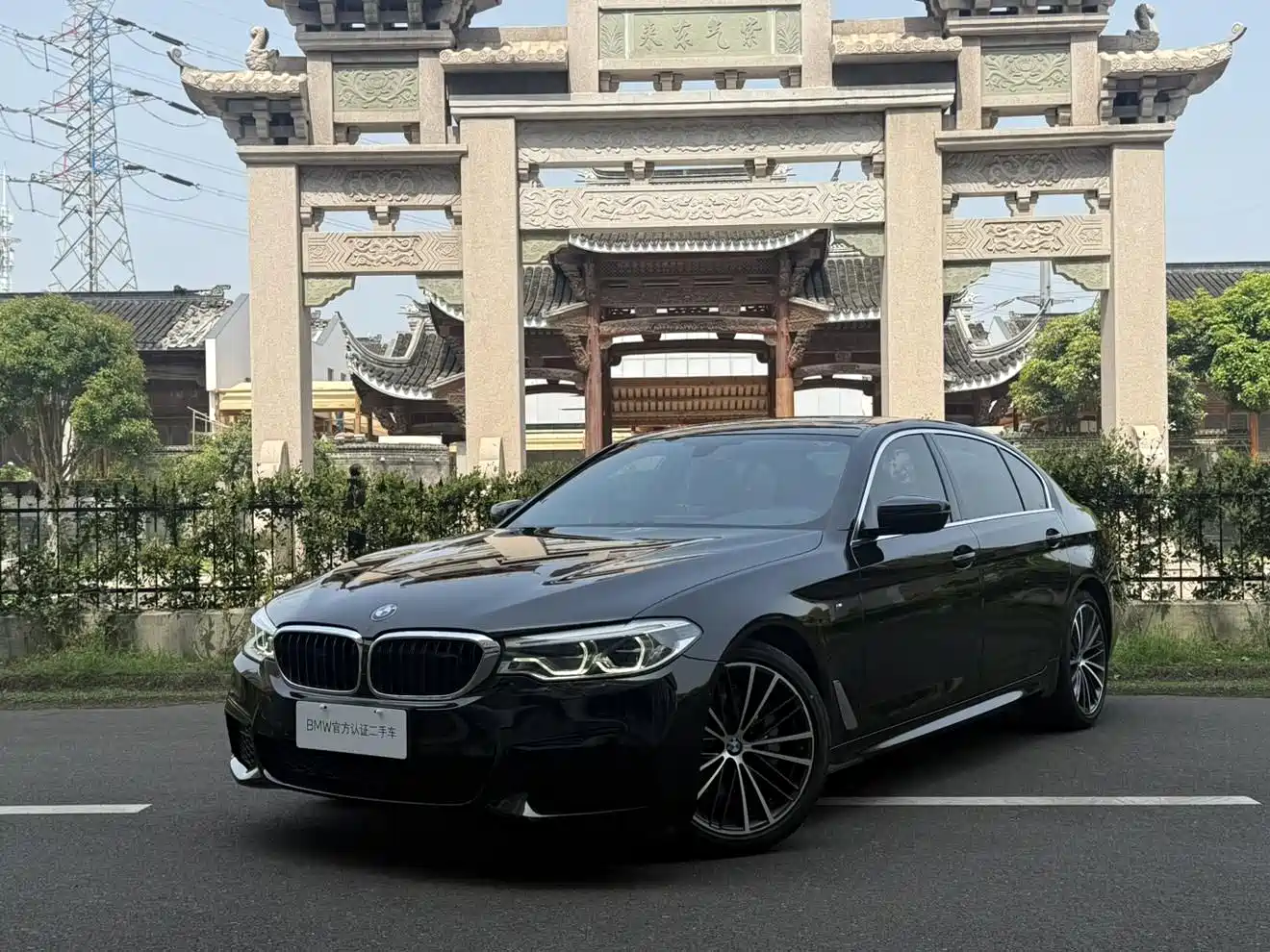 BMW 5 Series 2020 530Li Leading M Sport Package