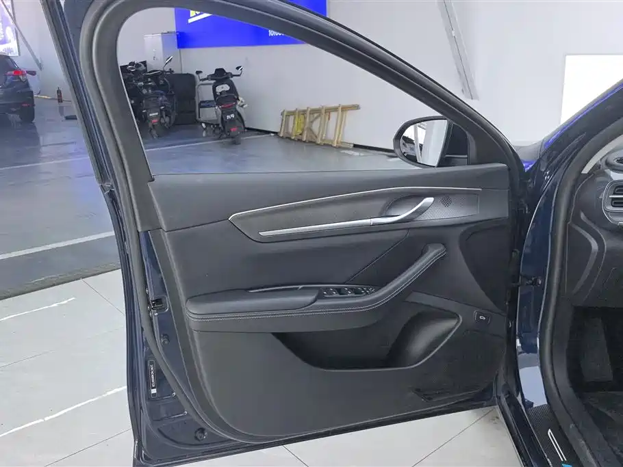 BYD Destroyer 05 2024 Glory Edition DM-i 55KM Luxury фото 7