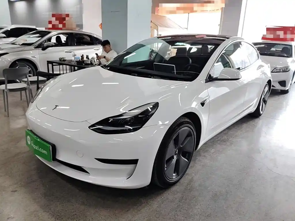  Tesla Model 3 2022 Model Rear-Wheel Drive Version