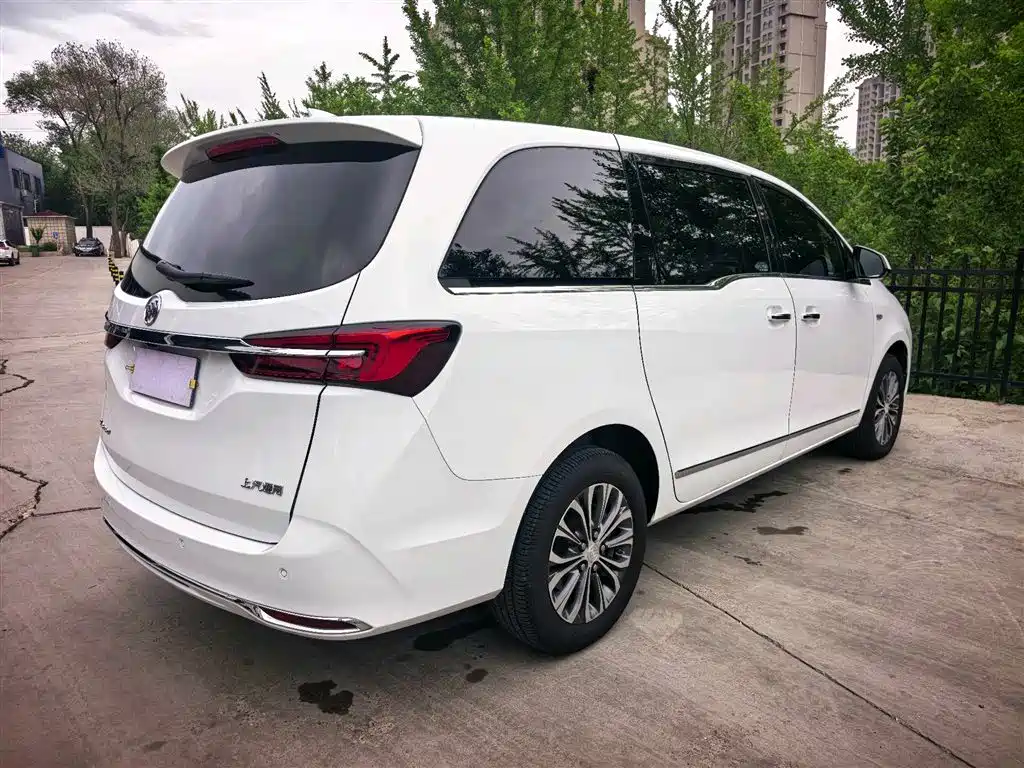 Buick GL8 2020 Model Land Business Class 652T Luxury фото 8